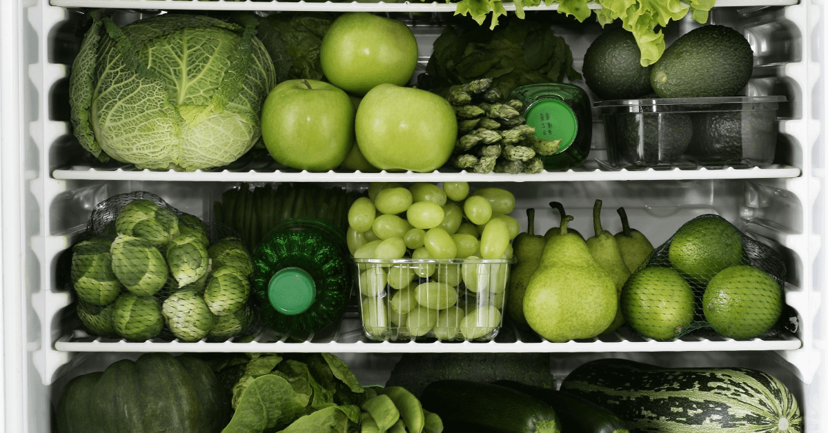 How To Use A Refrigerators » The Equipments Guide TEG